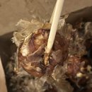 기독병원길 이미지