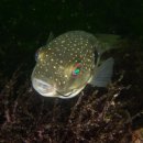 남해-312 이미지