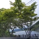 동읍459 이미지