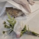 몽몽이엠파크 이미지