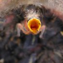 골든힐스짐 이미지