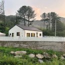 두드리네 이미지