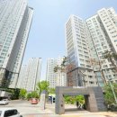 에코하우스공인중개사사무소 이미지