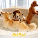 겟풀(GETPOOL) 이미지