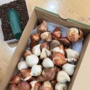아트&하트반여프레스미술교습소