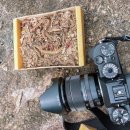 방아머리 구선착장 이미지