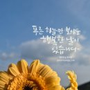 행복한 날 - 동구 | 행복한 날