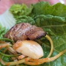 판문점숯불갈비 | 창원갈비 마산갈비 전문점 판문점숯불갈비 오동동 단체 회식장소 추천