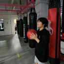 오스타메드 Daum카페
