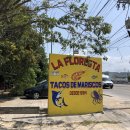 라플로레스타 이미지