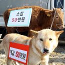옳은농부
