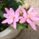 대주 농장 이미지