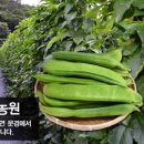 문경칠봉산농원