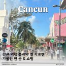 칸쿤 자유 여행 쇼핑 핫플 플라야 델 카르멘