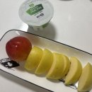 영카랜드 | Oct. 야근과 폭식 그 어딘가(+두바이 출장)