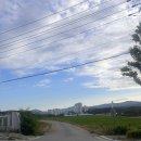 정선양떼목장 | 강릉 세인트존스 호텔 후기, 급 떠난 강릉 1박 2일 여행🌿 (비치비어축제, 정선 양떼목장)