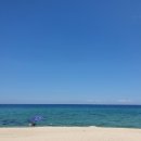 진리해변 티스토리