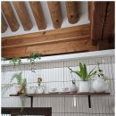 조양펜션 이미지