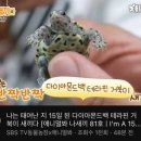 마이럽베이비
