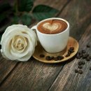 캘리그라피(심화) 이미지