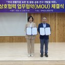 섬섬그린