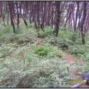 성재산성 이미지