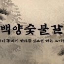 백양기업 이미지