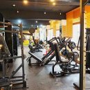 머슬 H 휘트니스 이미지