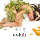 판디스 이미지