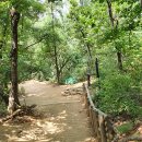 봉천동 마애미륵불 좌상 이미지