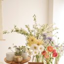 스튜디오콜렉티브 이미지
