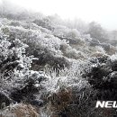 (주)제주백록담 이미지