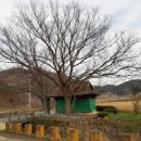 정곡리경로당 이미지