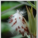 천객만래 이미지