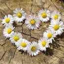 기쁜행정사사무소 이미지