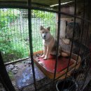 울진동물병원 이미지