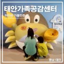 태안군교육문화센터 | 충남 태안군가족공감센터 실내 아이와 놀거리 무료 예약 방법 방문 후기