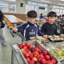 인평초교 이미지