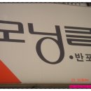 모닝글로리반포