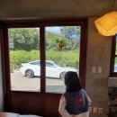 위미 필하우스 | 나만알고 싶은 서귀포 위미리 카페 [와랑와랑]