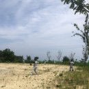 동구야구경기장 이미지