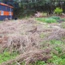 내곡5리 이미지