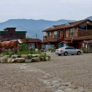 임정은가든 이미지