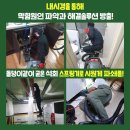 과전동 이미지