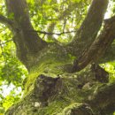 조천초등학교교래분교장 이미지