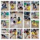 태권도 오송 정도장 이미지