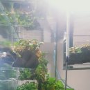 에스엔알(SNR) 이미지