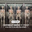전시 현장 읽기 | 데미안(데이미언) 허스트 전시 입장료 8000원 무료 관람 꿀팁! 서울 전시회 현장 발권보다 예매 추천