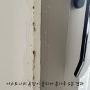 pc Queen | 욕실 청소 세제 추천, 락스 10년 쓰다 바꾼 이유