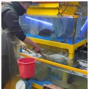 탁 수산 이미지